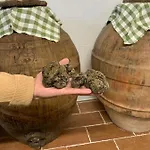 ファームステイ La Ghirlanda Wine