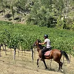 ファームステイ La Ghirlanda Wine