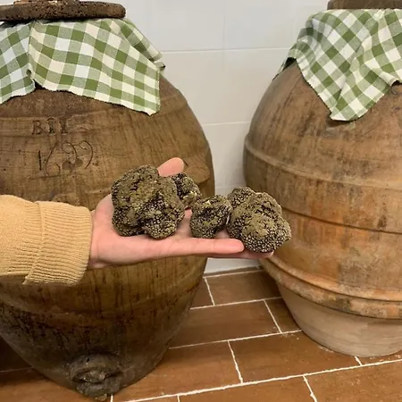 Çiftlik konaklama La Ghirlanda Wine