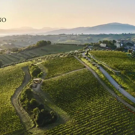 La Ghirlanda Wine Farm stay