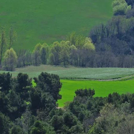 Agroturismo La Ghirlanda Wine Saragano